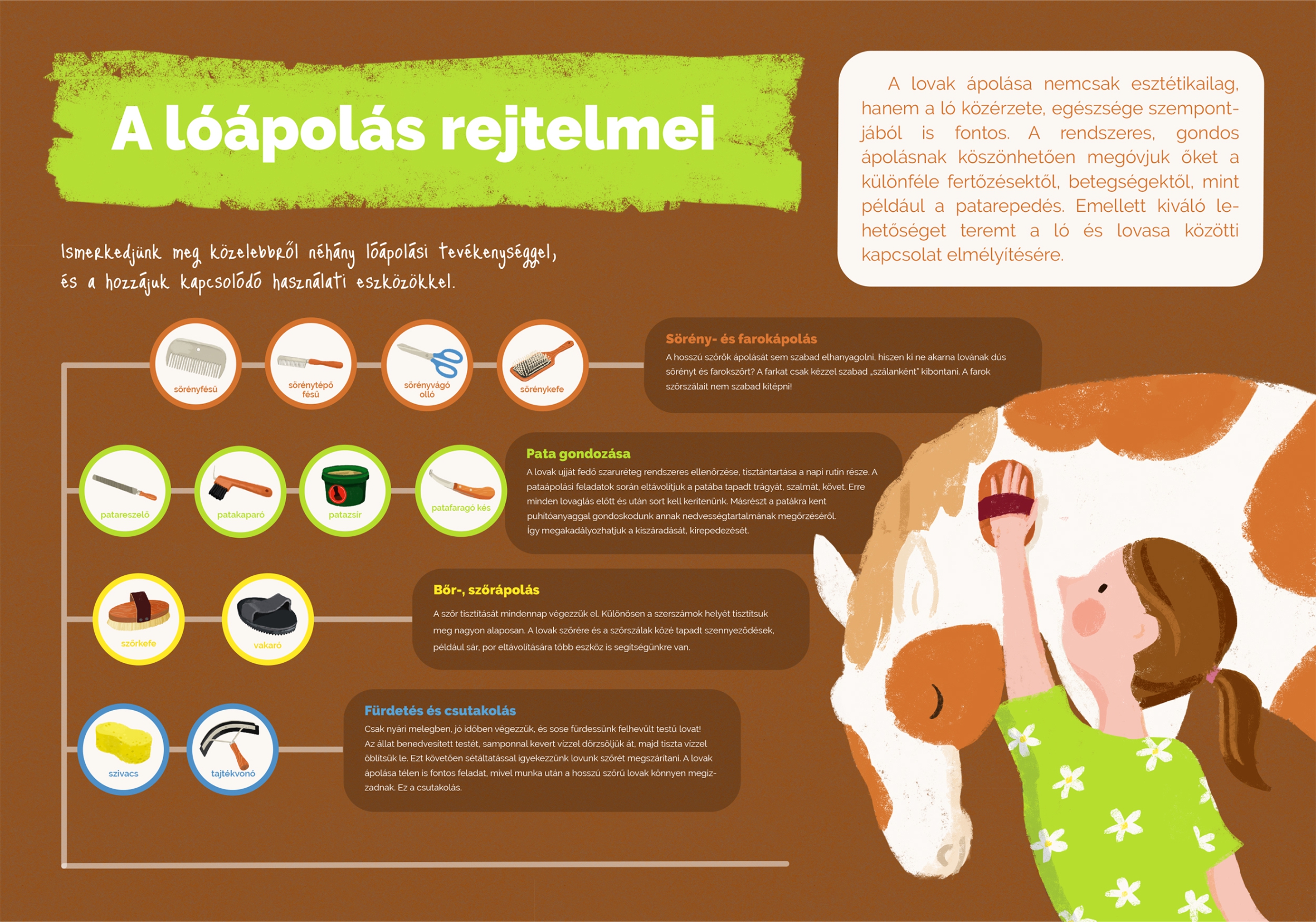 Lovas tanösvény, Fót